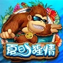 Www.yaxin211.com